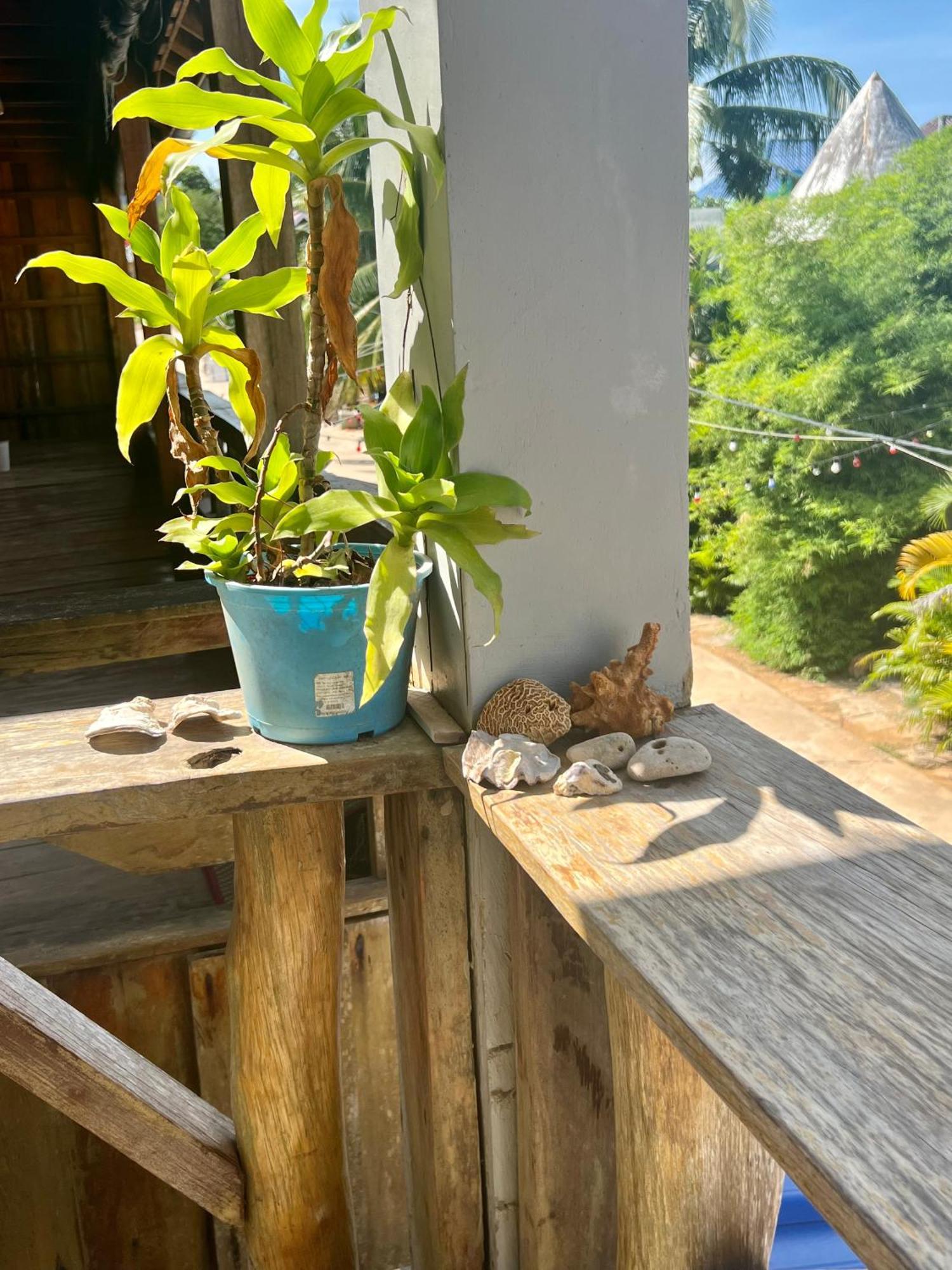 Ing Ing Guesthouse Koh Rong Sanloem Exteriör bild